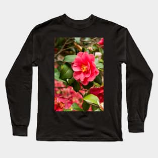 Red camellia flowers blooming in the garden Long Sleeve T-Shirt